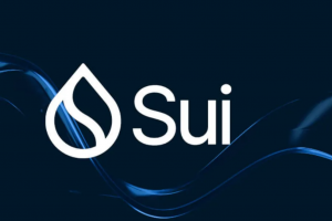 崛起中的 Sui：這一新興區塊鏈如何塑造加密貨幣的未來